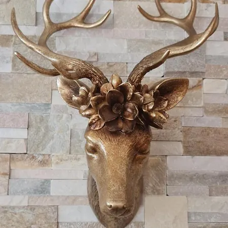 Eiger Panoramica - Aare Jungfrau Ag