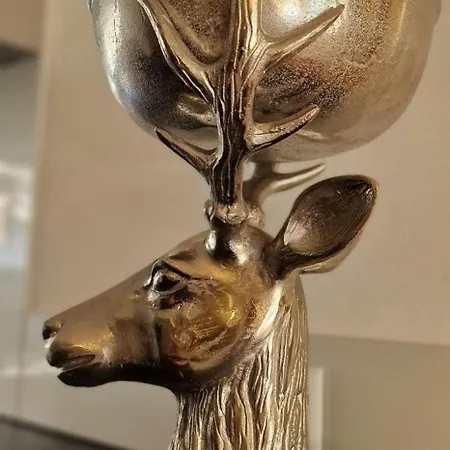 Eiger Panoramica - Aare Jungfrau Ag דירה